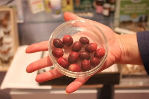 Large-fruited cranberry