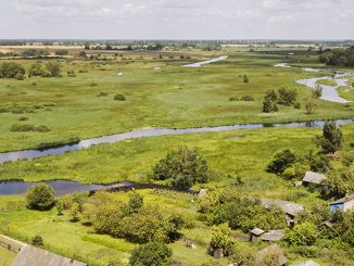 View from the top of the tower