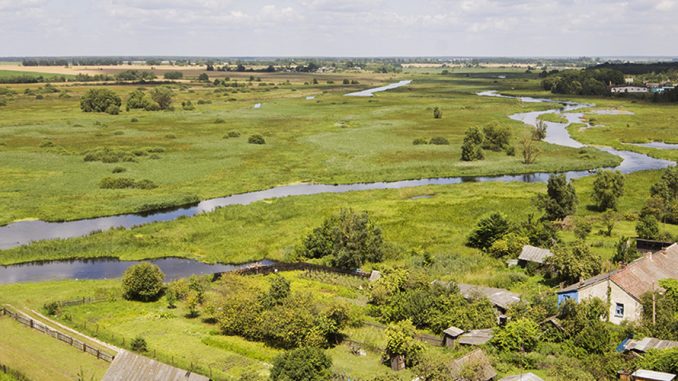 View from the top of the tower